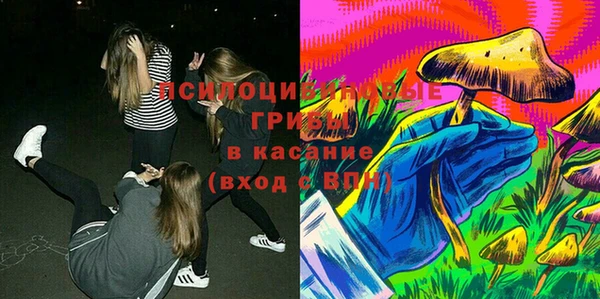 круглые Алексеевка