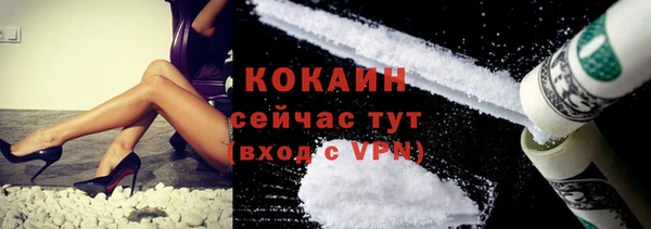 твердый Алексин