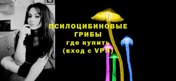 круглые Алексеевка
