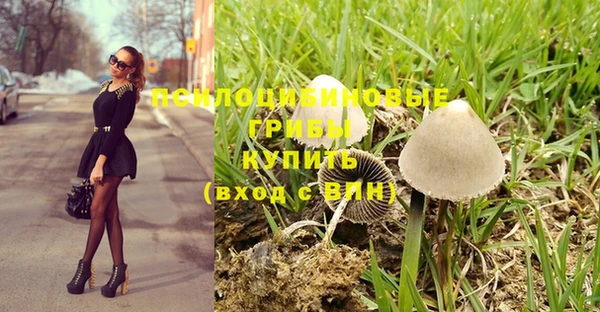 твердый Алексин