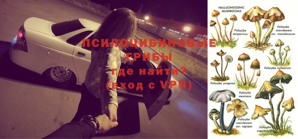 круглые Алзамай