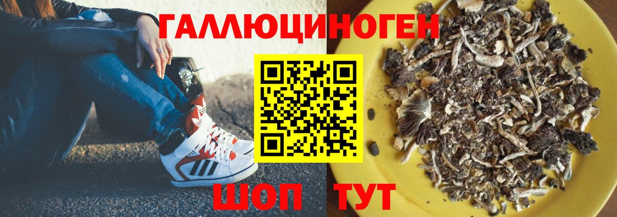 Галлюциногенные грибы мухоморы  Вход с VPN  Туймазы 